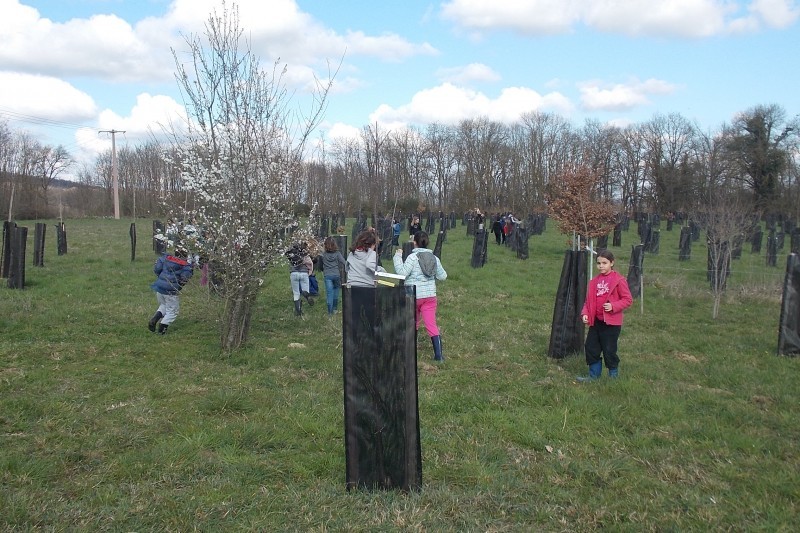 Les enfants ont pu reconnaître les arbres qu'ils avaient planté ultérieurement dans l'engagement de préservation de l'environnement pris par la société. 