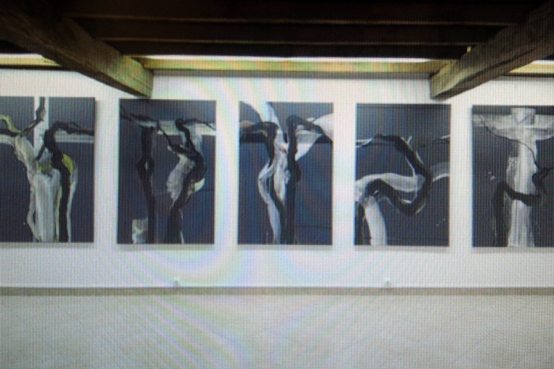 Exposition temporaire du Musée Abbal. Exposition temporaire du Musée Abbal.