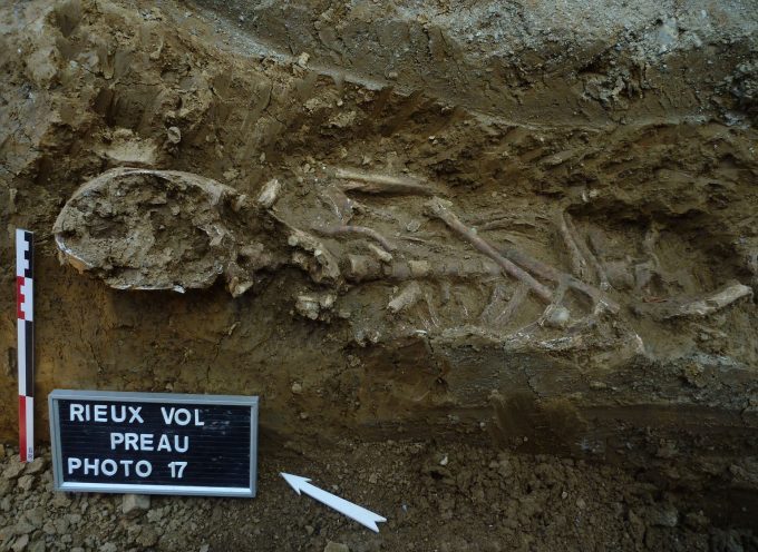 Rieux Volvestre : Réseau d’assainissement et découverte archéologique.