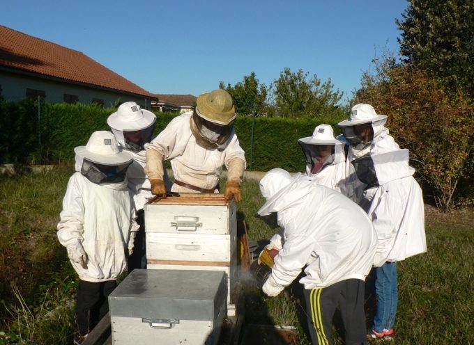 Rieux: Lorsque les abeilles favorisent citoyenneté et vivre ensemble.