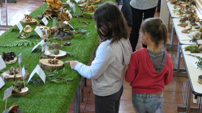 Des enfants curieuses.