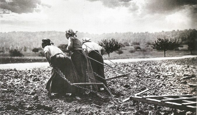 Les femmes remplaçaient les hommes dans les champs