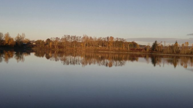 Barbis en automne