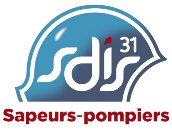 SDIS 31