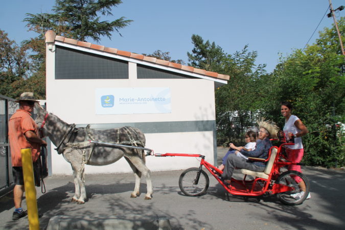 Retour au bercail