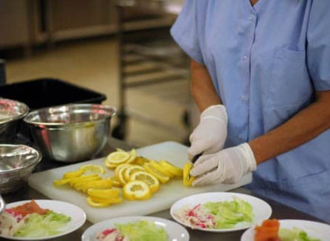 La mairie de VENERQUE recrute !  Petite République.com