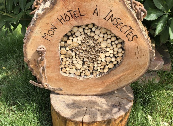 Le Fousseret : “je fabrique mon hôtel à insectes”
