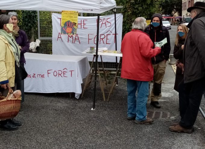 Marches pour défendre la forêt pyrénéenne à Aspet