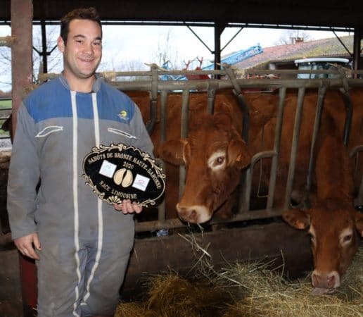 Au milieu de ses vaches