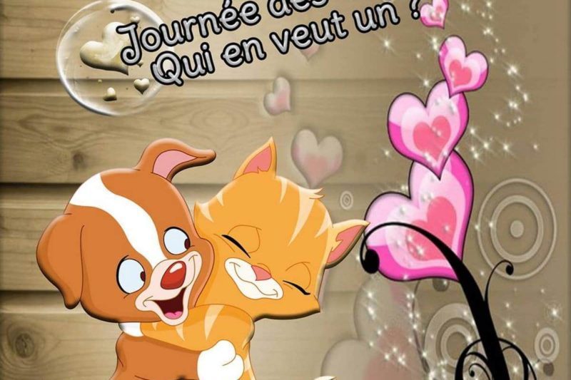 Jeudi 21 Janvier Journee Internationale Des Calins Petite Republique Com Jeudi 21 Janvier Journee Internationale Des Calins Petite Republique Com