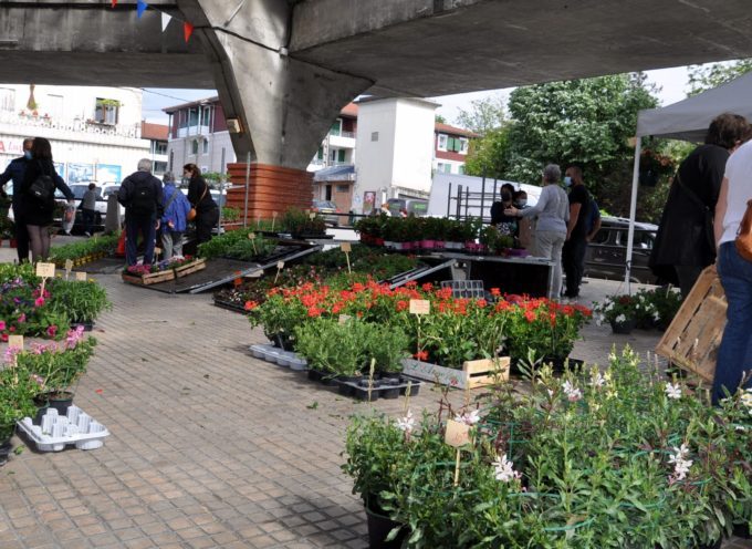 Montréjeau : Belle affluence pour le marché aux fleurs