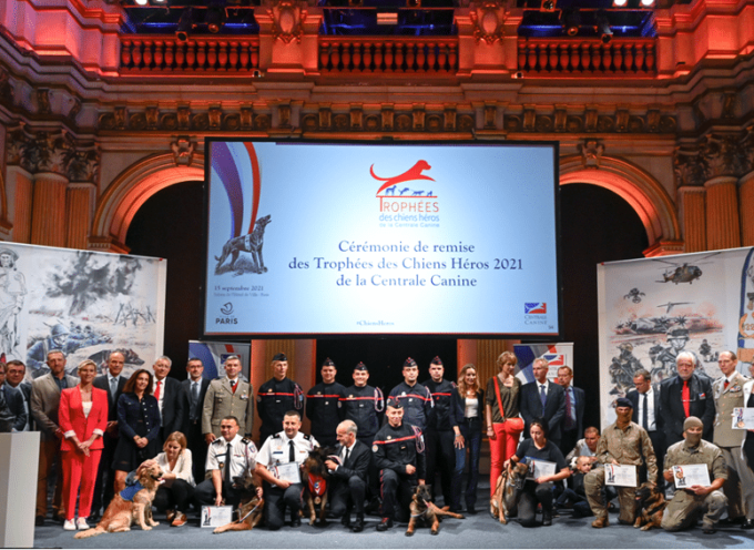 Deux chiens occitans reçoivent le trophée des chiens héros 2021