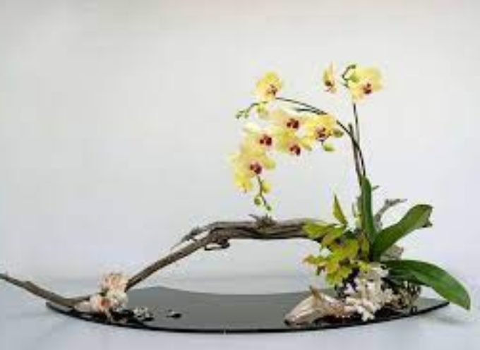 Saint-Gaudens : L’art floral japonais à découvrir