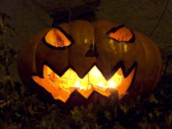 A l'arboretum de Cardeillac le 31 octobre, venez trembler pour rire et participer avec les enfants à la chasse au trésor d'Halloween.