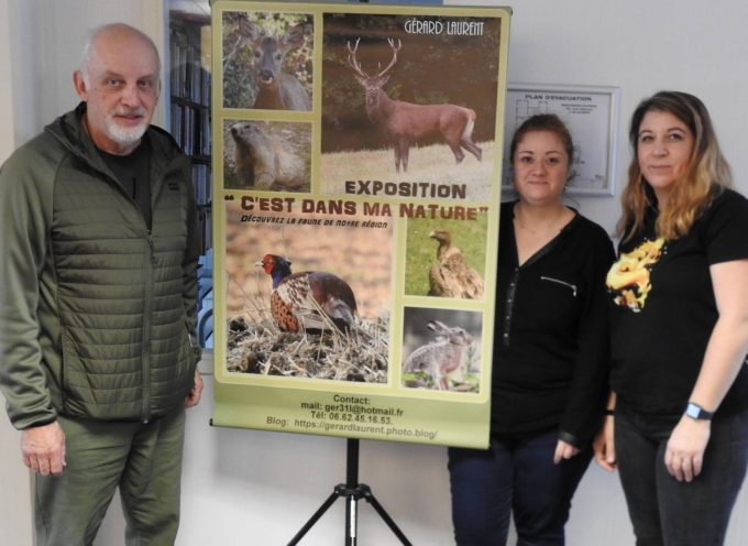 Le photographe animalier Gérard Laurent va exposer à Auterive