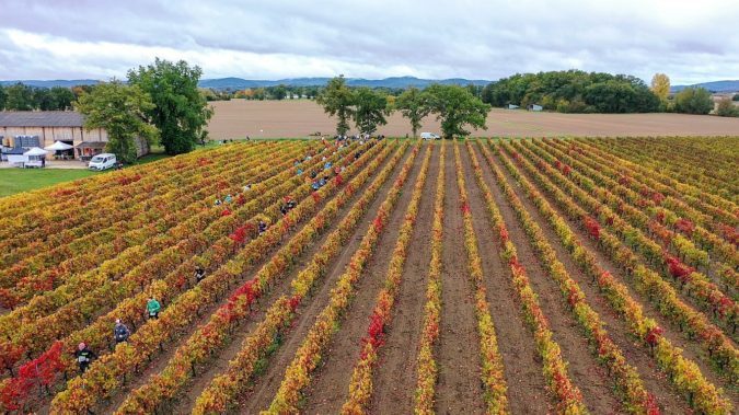 Aux couleurs de l'automne
