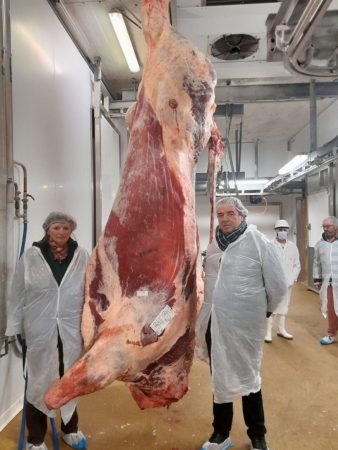 La carcasse exceptionnelle de la vache d'Hervé Duprat à l'abattoir de Saint Gaudens.
