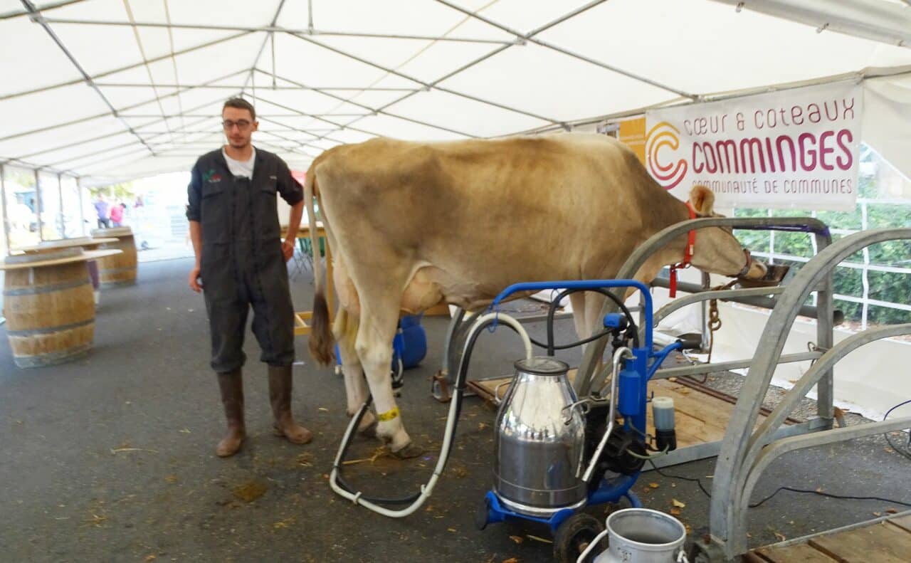Le pôle laitier et le CNIEL aux Journées du Boulonnais, ici dégustation de lait frais avec Mathias Chassot et sa vache Aurélia.