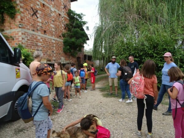 Dans le cadre des Journées du Boulonnais, les écoliers ont visité des fermes du canton (ici les petits Péguilhanais au centre équestre du Moulin, mardi 13 septembre).
