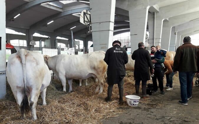 La 40è foire agricole de Samatan, une exceptionnelle vitrine de la vitalité du monde agricole Gersois.