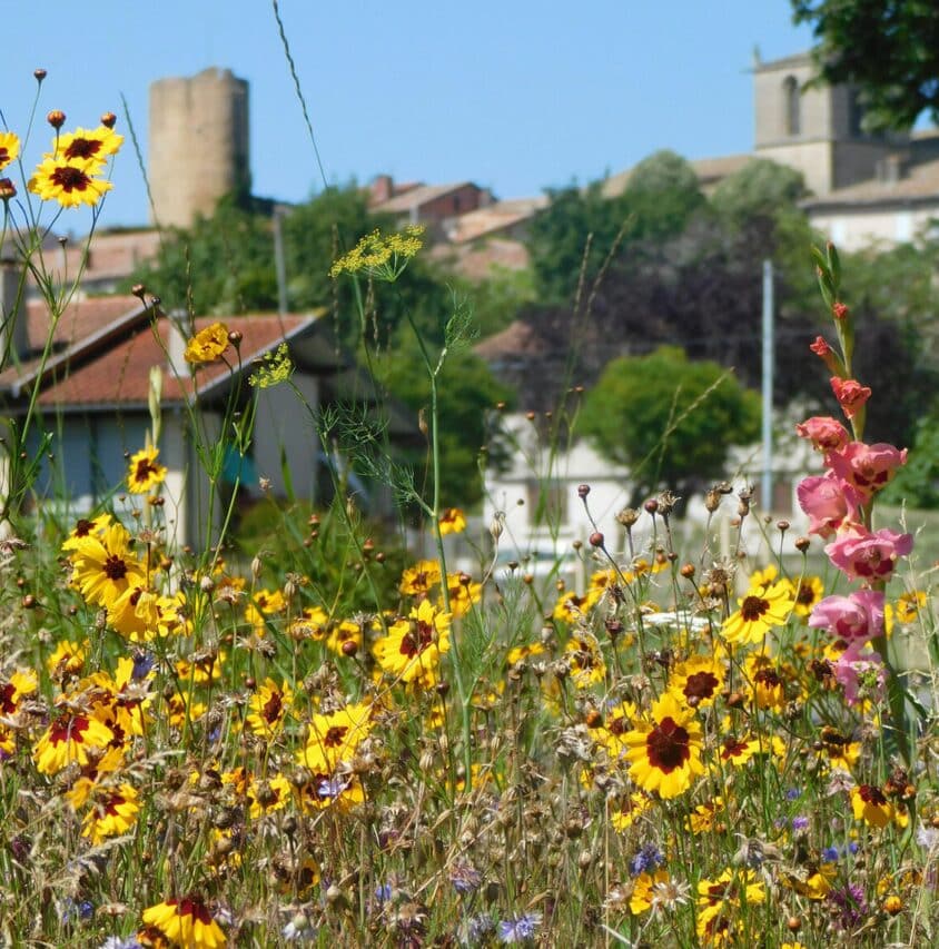 Un hortus monastique à Aurignac, premier pas d'un nouveau sentiers des jardins médiévaux.