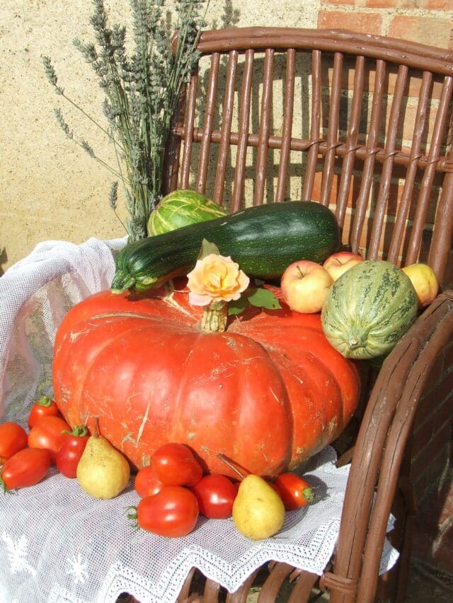 Un châssis pour produire ses propres plants de légumes et de fleurs.