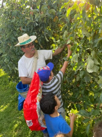 De l’arbre au fruit en passant par la cueillette et les recettes de cuisine, la pomme n’a plus de secret pour les enfants de l’ALAE intercommunal de Castillon