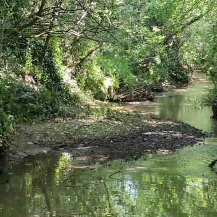 Le syndicat de rivière entretient le bassin versant de la Save et de ses affluents.