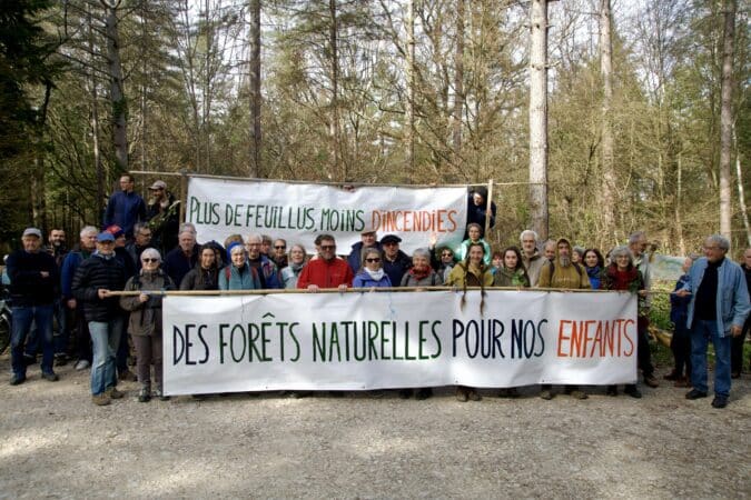 Le collectif Forêt des Sources du Touch milite pour défendre la forêt de Fabas, menacée par l'exploitation industrielle.