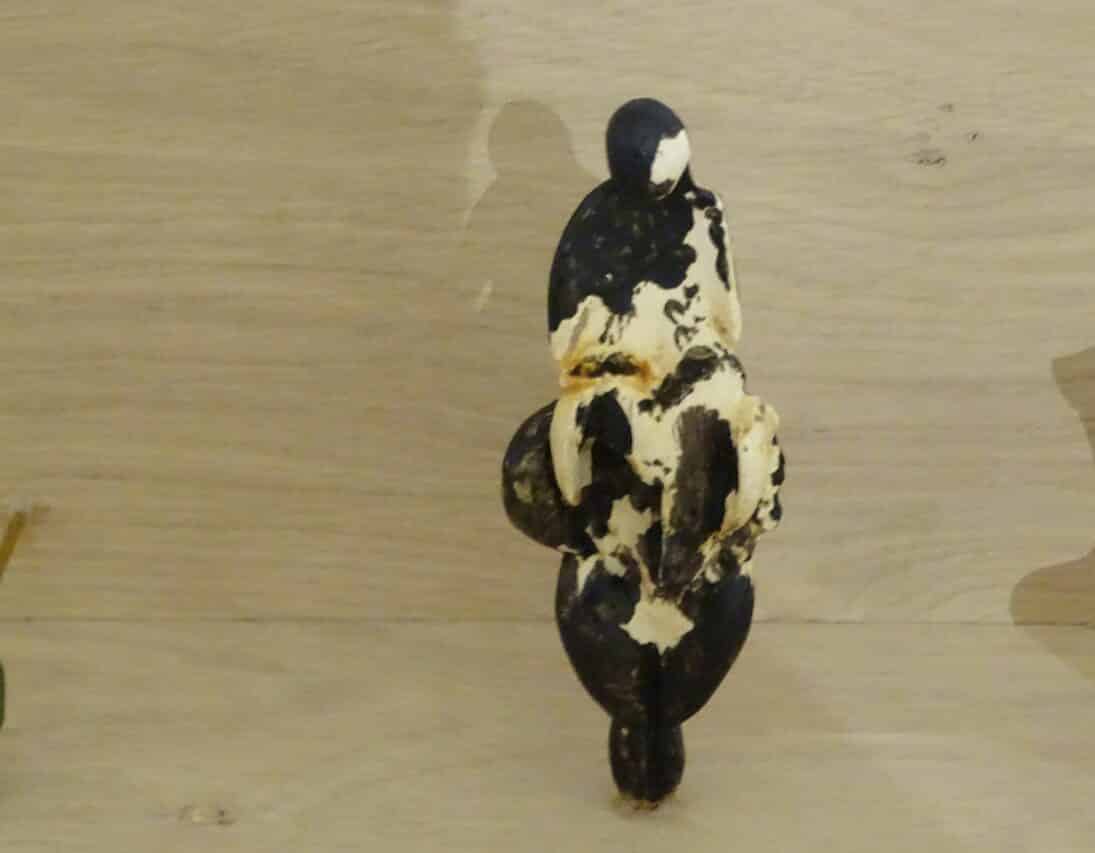 La Vénus de Lespugue et ses consoeurs préhistoriques en expo à L'Isle en Dodon.