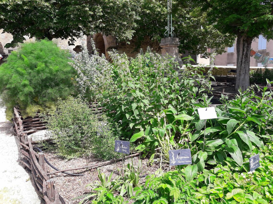 Au premier jardin médiéval de simples à Aurignac va s'ajouter un second jardin dans le même esprit, l'hortus déliciarum.