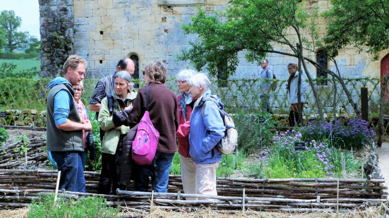 Visite commentée du jardin médiéval pour comprendre l’organisation d'un jardin de monastère, sa symbolique, et surtout comment les moines utilisaient les plantes.