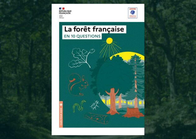 La forêt française