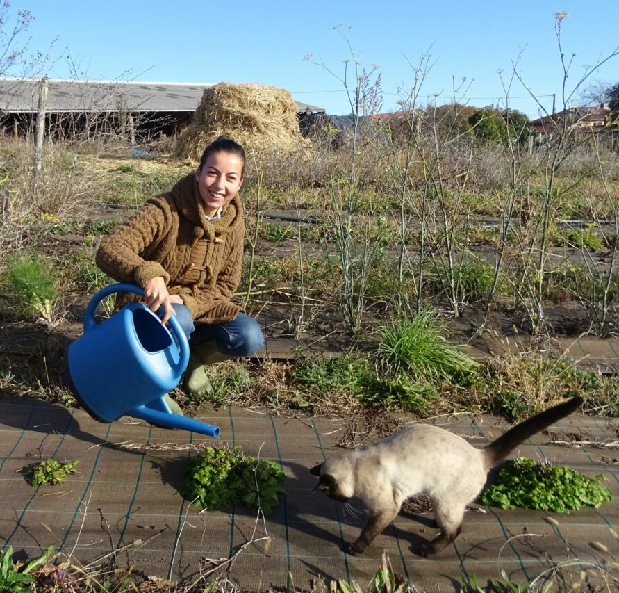 Herboriste-tisanière, Solène Le Hinchet cultive et commercialise ses plantes.