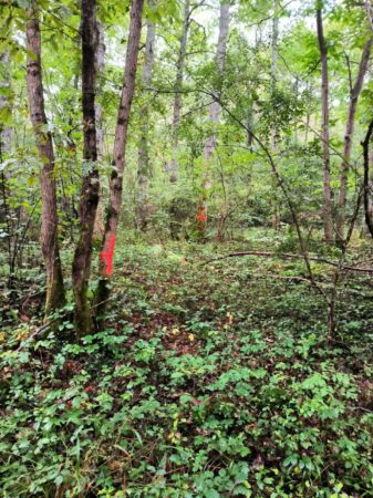 La zone sur laquelle l'antenne-relais devrait être implantée à Montmaurin, objet de la controverse.