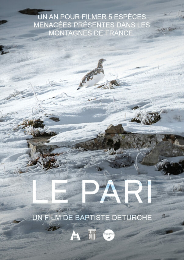 Le réalisateur du film animalier Le Pari, Baptiste Deturche, sera présent à la séance du cinéma le Magnoac le 2 octobre.