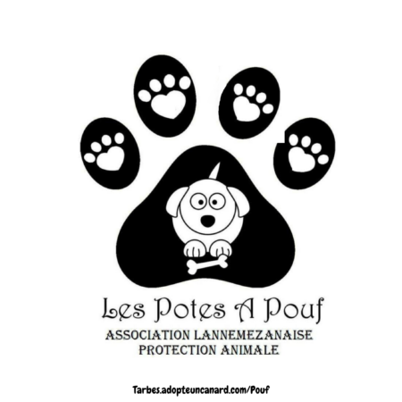 Les potes à Pouf, un refuge à Lannemezan pour aider les animaux abandonnés. Participez au concours ludique canin organisé à Devèze (65).