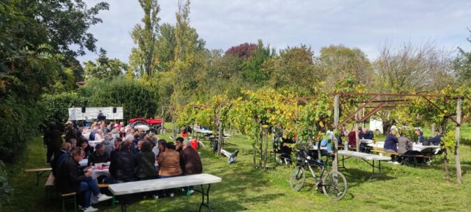 Dans la plus pure tradition des vendanges d'antan