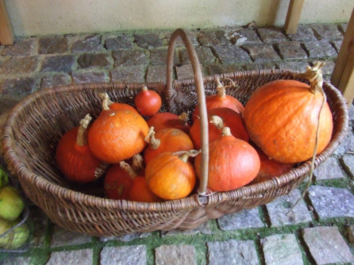 Des animations pour tous autour de l'automne à Boulogne, le 12 octobre.