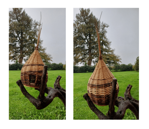 Stage de vannerie, pour apprendre à fabriquer des nichoirs.