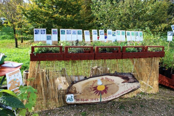 La pépinière de Fabienne Cneude, les Jardins d'Heyrech à Sauveterre, présente à la fête de l'Automne du musée d'Aurignac.