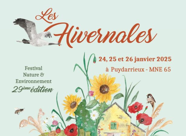 Ateliers, conférences, sorties, cinéma, de multiples animations ludiques et pédagogiques aux Hivernales de la MNE 65.