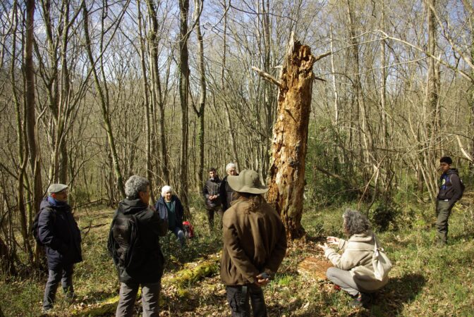 Le rôle majeur de la forêt dans le processus de la fabrication de l’oxygène et le piégeage du carbone fut exposé par le moyen d’une pédagogie excellente.