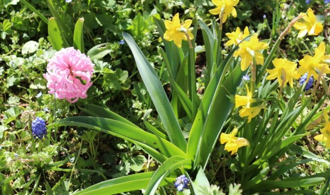 Les travaux de printemps au jardin, tout dans la rubrique.