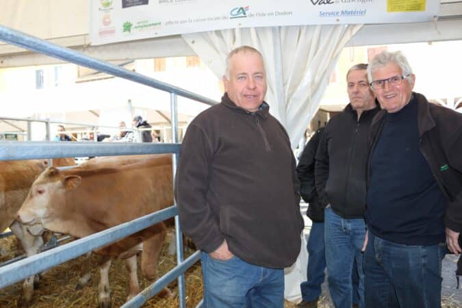 La foire aux broutards et le marché aux vaches grasses, deux points forts de la foire du Printemps et du Goût à l'Isle.