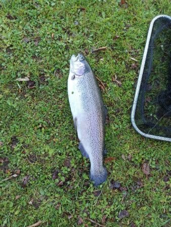 Une truite de 45 cm, prise record au concours de pêche de Saint-Marce ce dimanche.