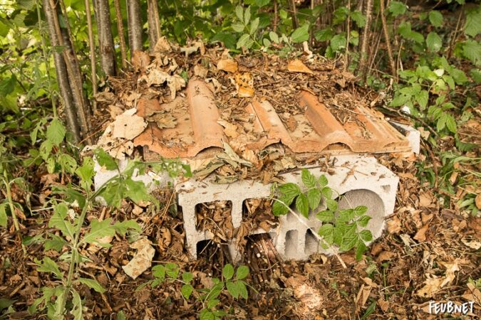 Cabane pour hérisson