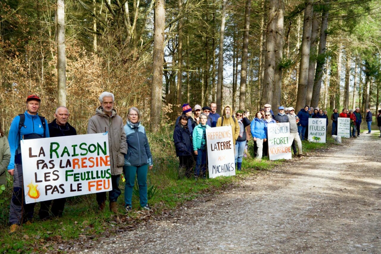 Le collectif Forêt des Sources du Touch veille sur le massif forestier éponyme. Une exposition et une journée conviviale sont organisées à Saint-André.
