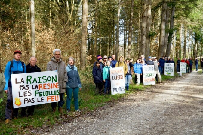Le collectif Forêt des Sources du Touch veille sur le massif forestier éponyme. Une exposition et une journée conviviale sont organisées à Saint-André.