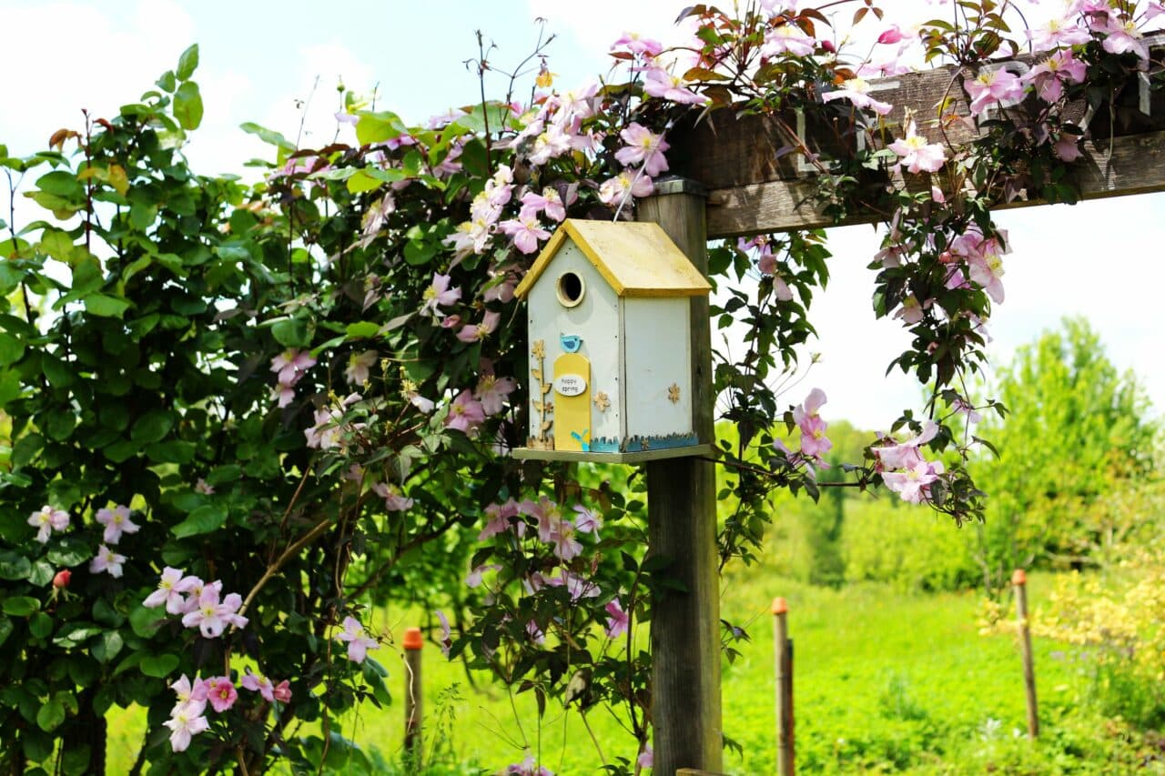 Les conseils pour un jardin naturel, havre pour les oiseaux et la biodiversité.
